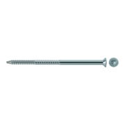 fischer Sicherheitsschraube T-1