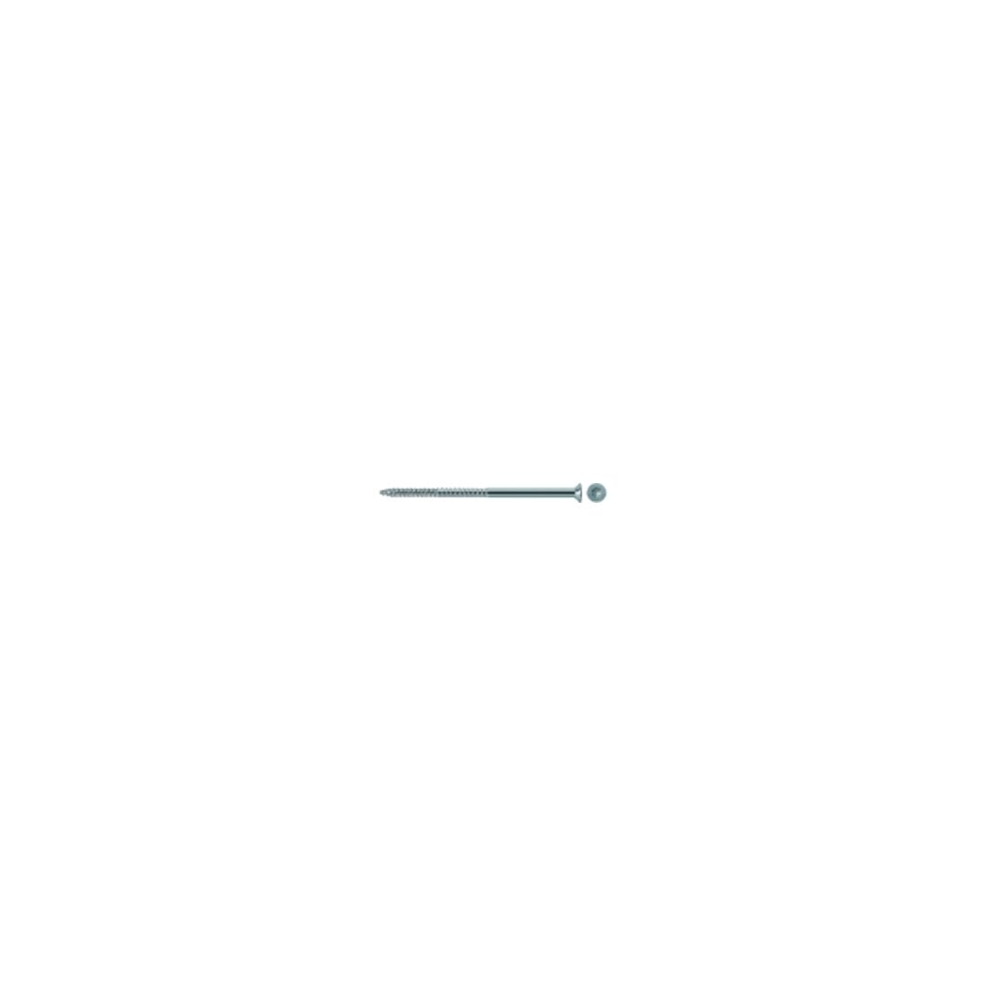 fischer Sicherheitsschraube T