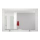 fischer Silicone sanitaire DSSA 310 gris sanitaire (3)