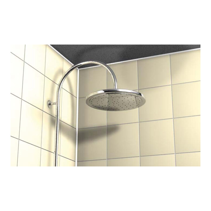 fischer Silicone sanitaire gris argent DSSA SG