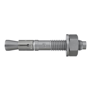 fischer Doorsteekanker FBN II staal