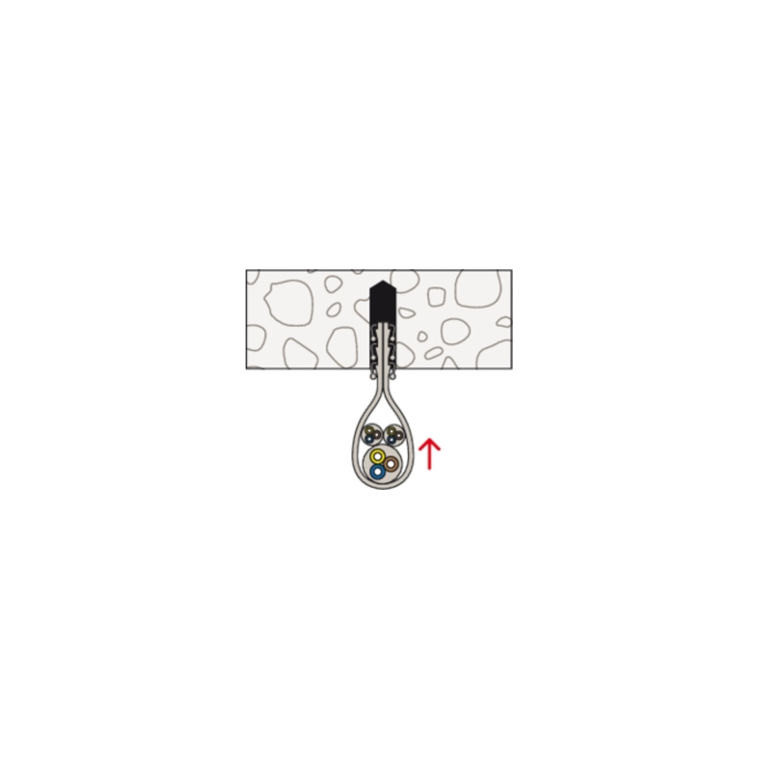 Attache câbles fischer ClipFix plus SF plus LS