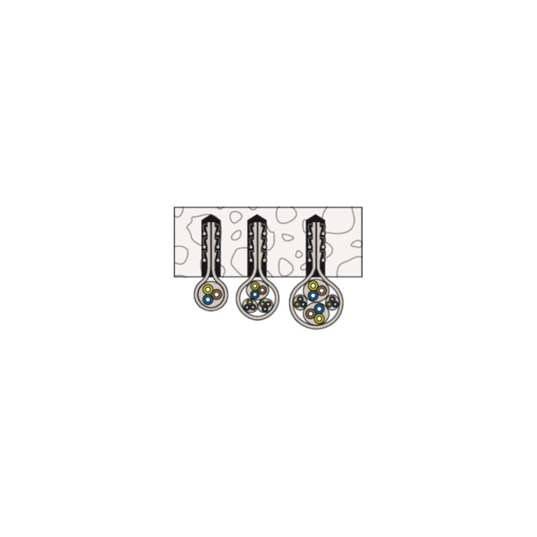 Attache câbles fischer ClipFix plus SF plus LS