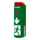 FiSCHER Surveillance de porte à une main TWU110 avec préalarme