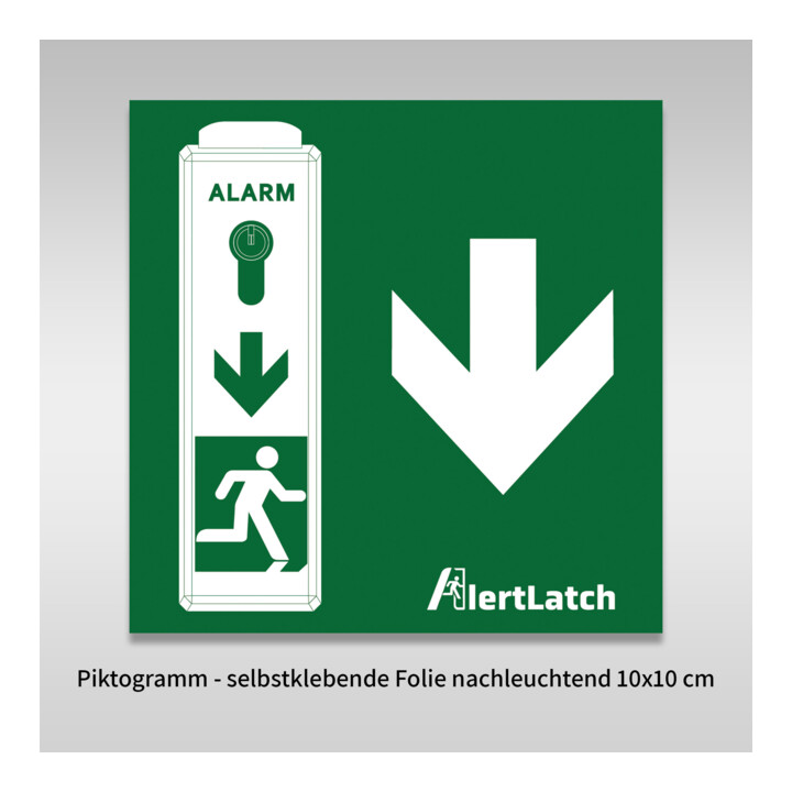 FiSCHER Surveillance de porte à une main TWU110 avec préalarme