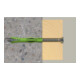 fischer Tassello SX Plus Green 8x65-4