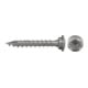 fischer  Tuinpaalschroef 7x50 A2 VG TX
