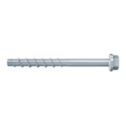 fischer UltraCut FBS II 8x190 US TX