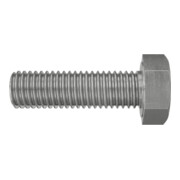 fischer Vis à tête 6 pans SKS M 12 x 30 A4 en acier inoxydable A4-1
