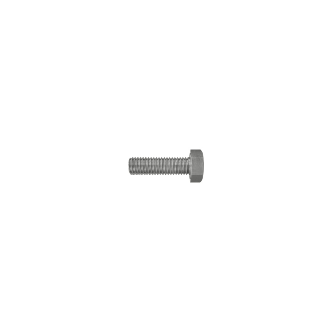 fischer Vis à tête 6 pans SKS M 12 x 30 A4 en acier inoxydable A4