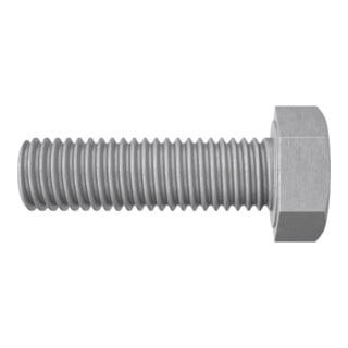 fischer Vis à tête hexagonale SKS 10 x 25 hdg.