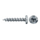 fischer Vis PowerFast II FPF II PTF 3,0x30 BC 200 Tête cylindrique bombée, empreinte TX, zingué blanc, filetage total