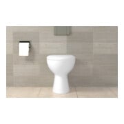 fischer  WC en sanitairbevestiging WCN 1-3