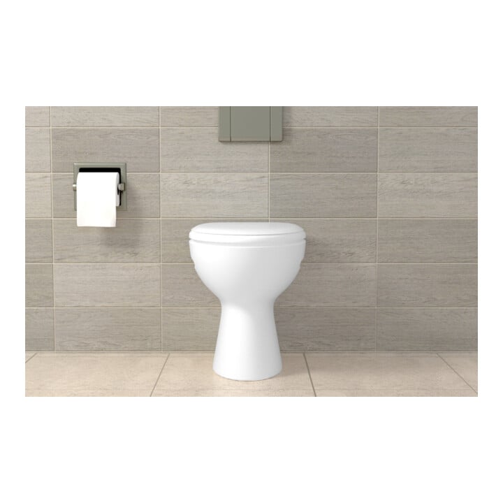 fischer WC en sanitairbevestiging WCN 2