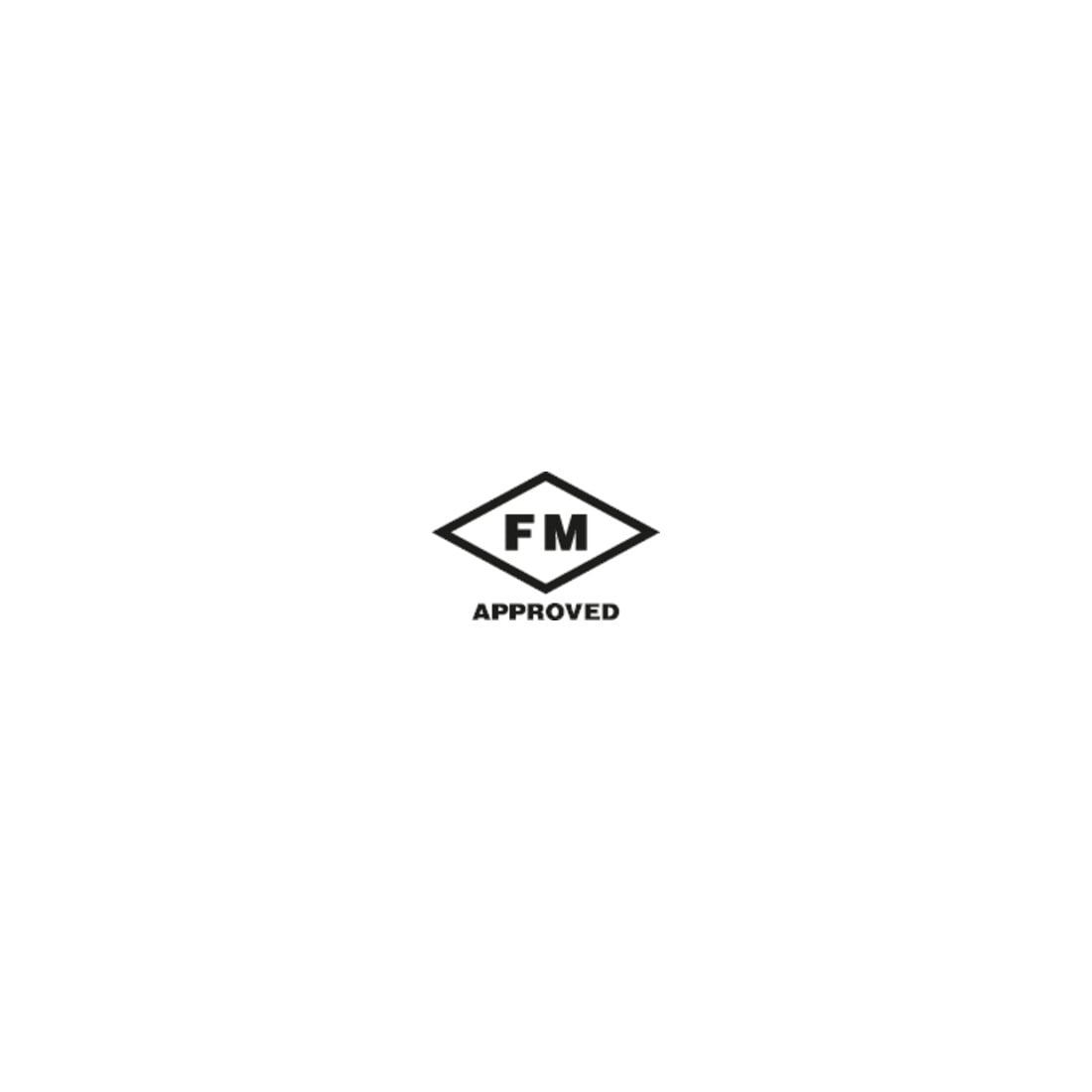 fischer Zykon-Innengewindeanker FZA 22x100 M12 I A4