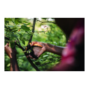 Fiskars Bypass Gartenschere (P721) Plus PowerLever-3