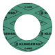 Flachdichtring KLINGERsil® C-4400 DIN2690 Abm.127x77x2 ND PN 10-40-1