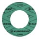 Flachdichtring KLINGERsil® C-4400 DIN2690 Abm.192x141x2 ND PN 10-1