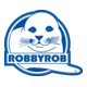 Flächendesinfektionsmittel 1l Flasche ROBBYROB-3