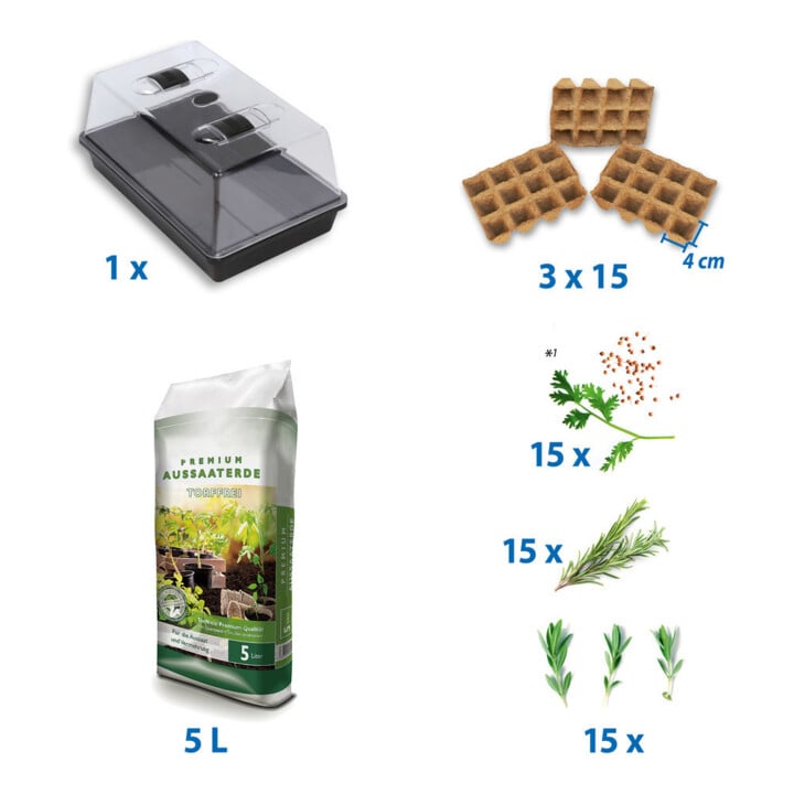 FLORAWORLD Anzucht-Set Fresh BBQ