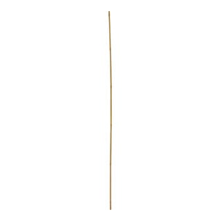 floraworld Bâtons de Tonkin lot de 10 150 cm