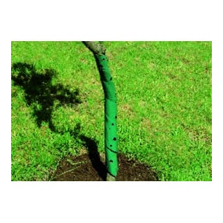 floraworld Baumschutzspirale 2er, 60 cm