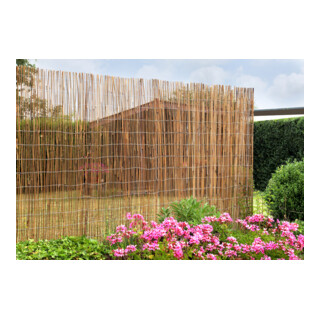 floraworld Brise-vue Bambou 300 x 150 cm comfort