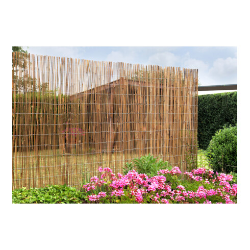 floraworld Brise-vue Bambou 300 x 150 cm comfort