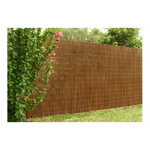 floraworld Brise-vue Saule 300 x 90 cm classique