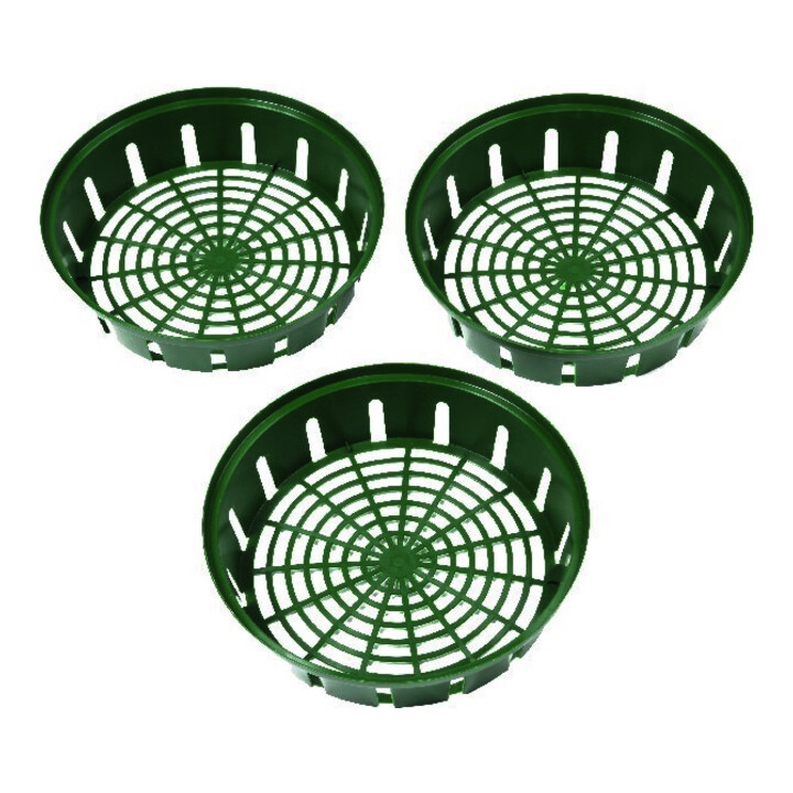 floraworld Ensemble de 3 coupelles rondes pour bulbes de fleurs