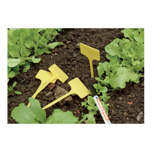 floraworld Étiquettes de plantation 15 pcs