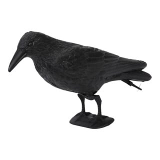 floraworld Figurine d’animal Corbeau plastique, noir 37x15 cm