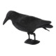 floraworld Figurine d’animal Corbeau plastique, noir 37x15 cm-1