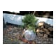 floraworld Film isolant à bulles d'air 0,5x5m, 80my, bulles 10mm-5