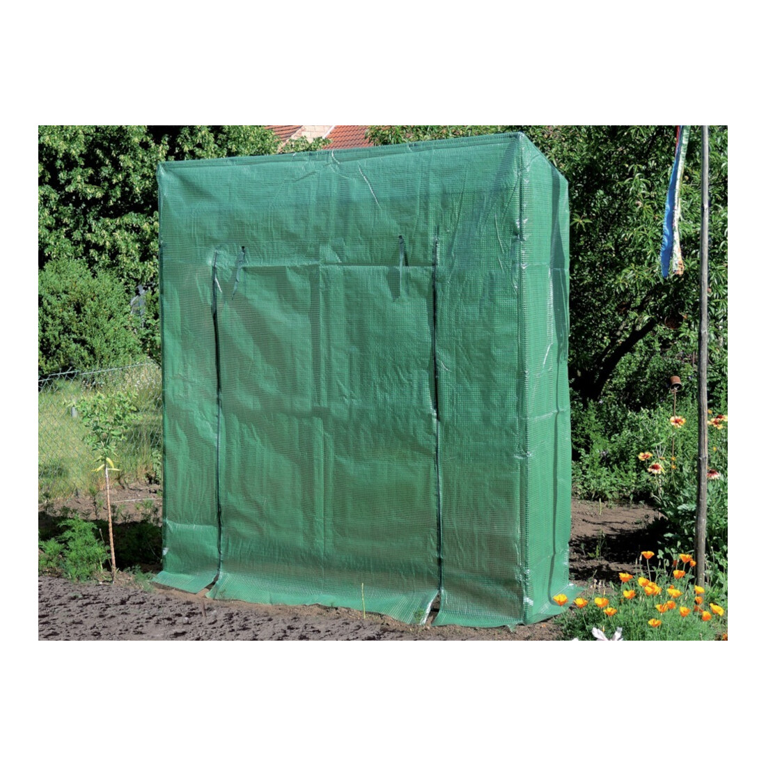 floraworld Maison pour tomates 195x60x215/195 cm