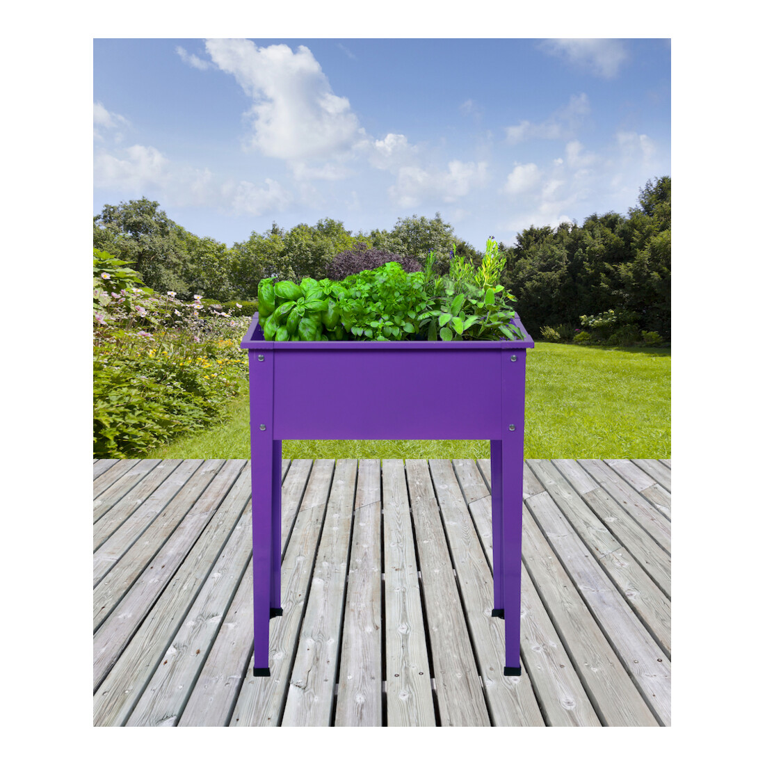 floraworld Metall-Hochbeet Gr. 1lila glänzend60 x 30 x 80 cm