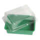 floraworld Mini-serre 20x15 cm sans soucoupe-1