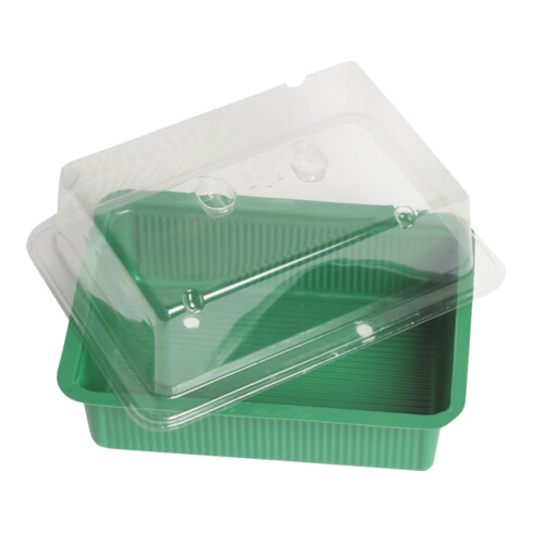 floraworld Mini-serre 20x15 cm sans soucoupe