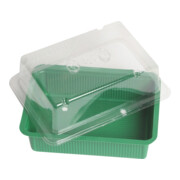 floraworld Mini-serre 20x15 cm sans soucoupe