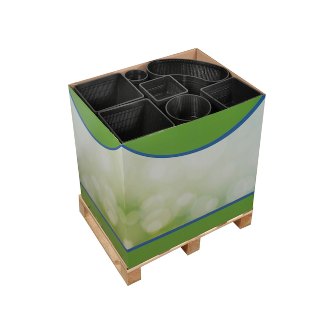 floraworld Panier pour plantes aquatiques Différentes versions Présentoir