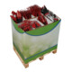 floraworld Petits outils avec rallonge de manche - Système d'affichage-1