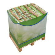floraworld Pièges à souris et rats, emballage en libre-service FWDisplay