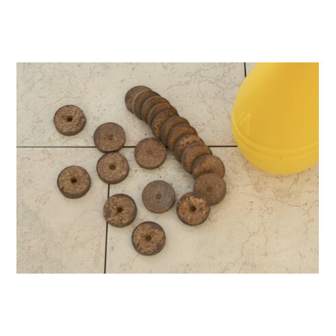 floraworld Pots de tourbe gonflants 20 pcs 3,5 cm