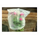 floraworld Rosenhaubenvlies 5er Set 0,8x0,75 m 17g-1