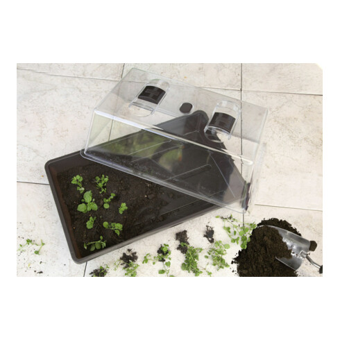floraworld Serre d'intérieur classique, plastique, 38x24x18,5 cm anthracite