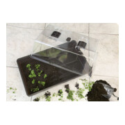 floraworld Serre d'intérieur classique, plastique, 38x24x18,5 cm anthracite-3