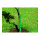floraworld Spirale de protection d'arbre 2 pcs, 60 cm-1