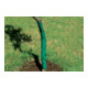 floraworld Spirale de protection d'arbre 2 pcs, 60 cm-3