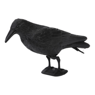 floraworld Tierfigur Rabe Kunststoff, schwarz 37x15cm