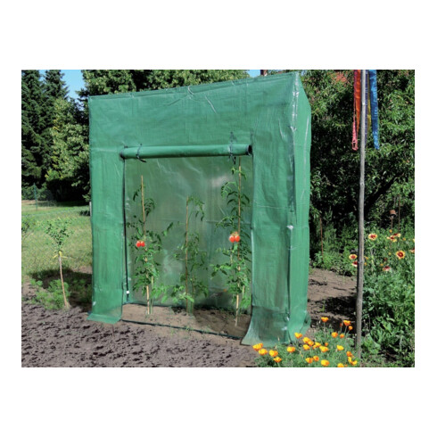 floraworld Tomatenhaus 195x60x215/195 cm